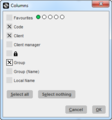 Client columns.png